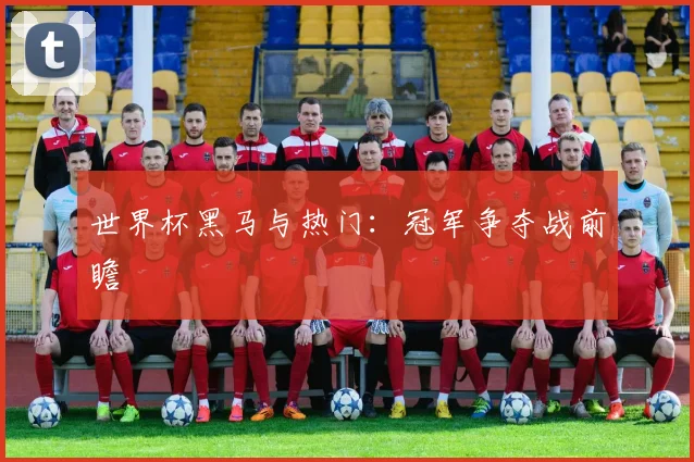 世界杯黑马与热门：冠军争夺战前瞻
