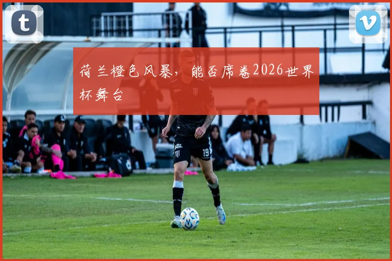 荷兰橙色风暴,能否席卷2026世界杯舞台