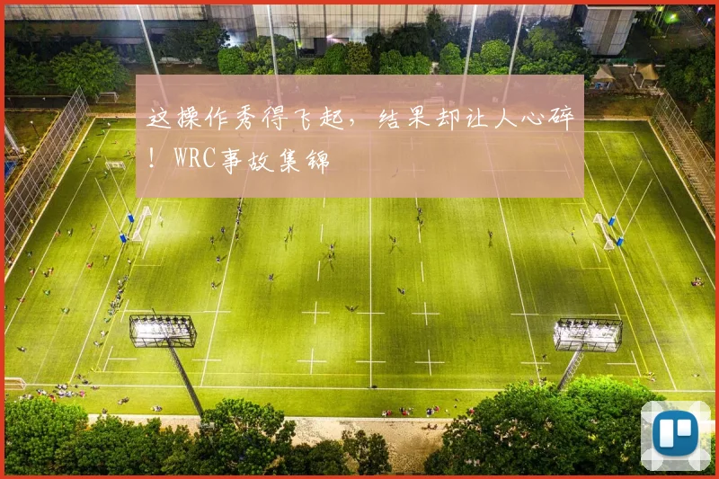 这操作秀得飞起,结果却让人心碎!WRC事故集锦