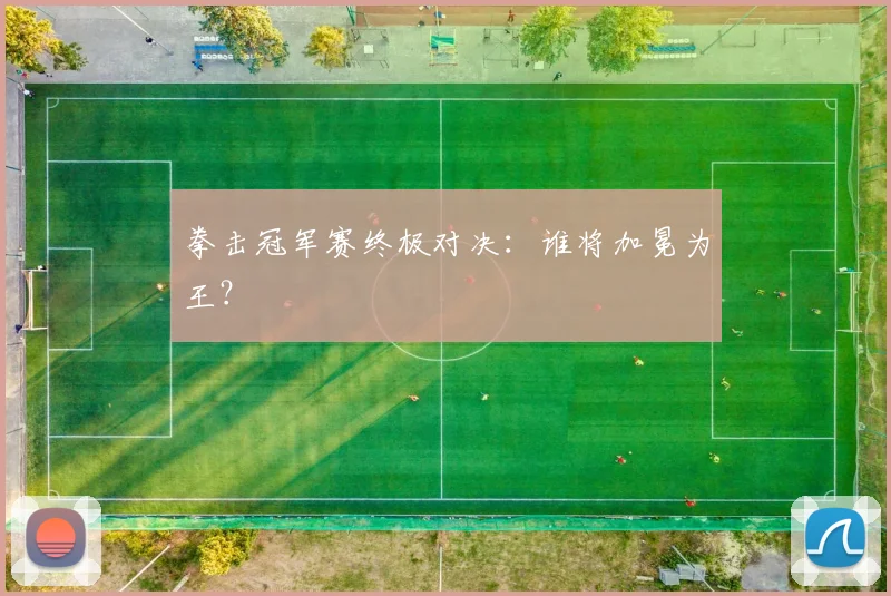 拳击冠军赛终极对决：谁将加冕为王？