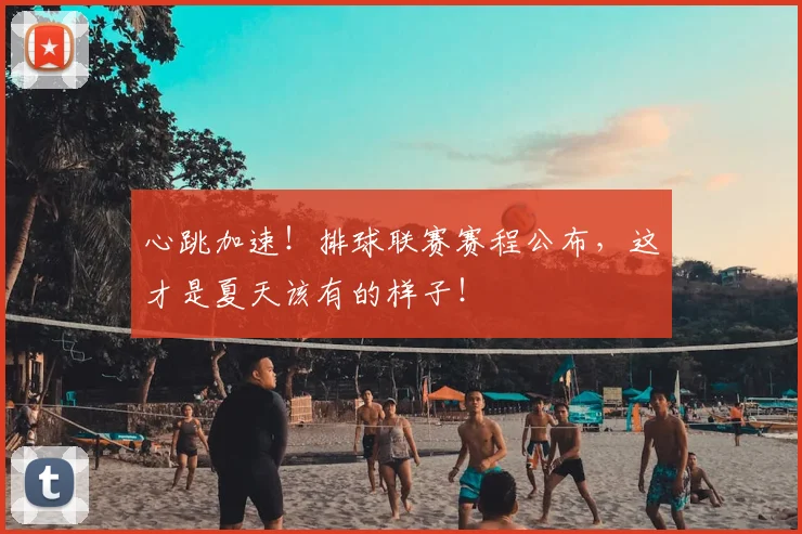 心跳加速！排球联赛赛程公布，这才是夏天该有的样子！